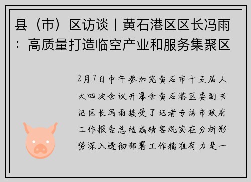 县（市）区访谈丨黄石港区区长冯雨：高质量打造临空产业和服务集聚区