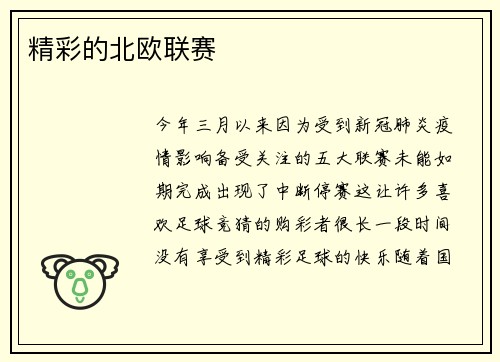 精彩的北欧联赛